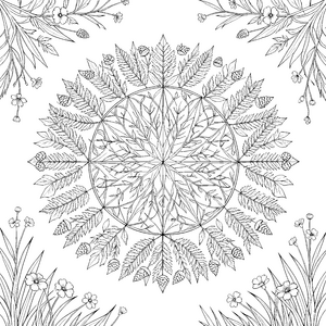 Filigranes Farnblatt-Mandala Ausmalbild für Waldbegeisterte
