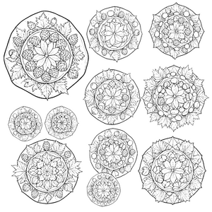 Detailreiches Blüten und Zapfen-Mandala Malvorlage für kleine Naturbegeisterte