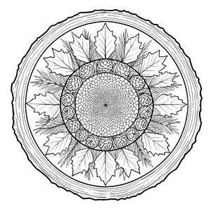 Zauberhaftes Rosenknospen und Herbstblatt-Mandala-Bastelmotiv für neugierige Waldläufer