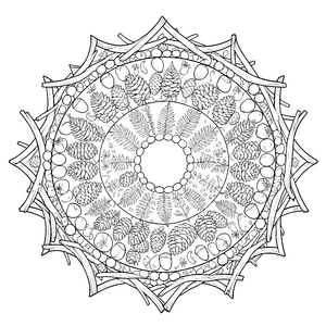 Symmetrisches Tannenzweig und Beeren-Mandala-Ausmalbild für Waldfreunde