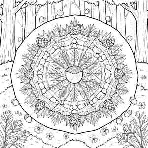 Mystisches Tannenzapfen und Nadel-Mandala Ausmalbild für mutige Waldgeister