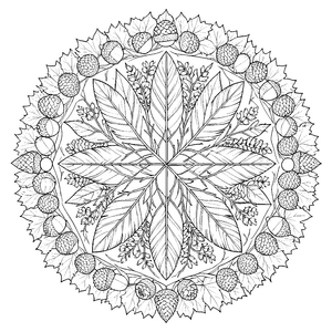 Symmetrisches Beeren und Tannenzapfen-Mandala-Malbild für malfreudige Waldschätze