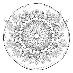 Fantastisches Zapfen und Beeren-Mandala-Malbild für neugierige Waldkinder