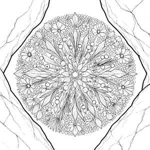 Detailreiches Blüten und Beeren-Mandala Bastelvorlage für neugierige Blumenweiber