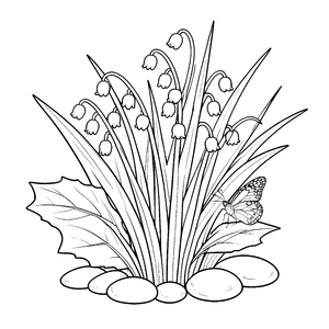 Wundervolle Maiglöckchen mit Schmetterling Malvorlage für junge Blumenbegeisterte