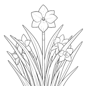Strahlende Narzissengruppe mit langen Stielen Ausmalbild für kreative Blumenfans