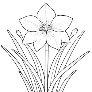 Stolze Narzisse mit Knospen Ausmalbild für kleine Blumenputzer