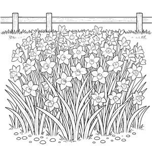 Blühende Narzissen vor Holzzaun Bastelmotiv für Blumenstaubfänger