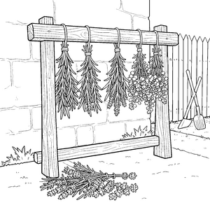 Rustikale Kräuterbündel an Trockenstange Bastelvorlage für kreative Gartenfreunde
