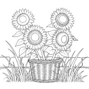 Prachtvolle Sonnenblumen im Korb Ausmalbild für kreative Naturfreunde