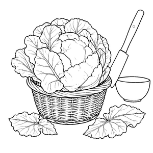 Reifer Rotkohl im Korb Malbild für fröhliche Naschfreunde