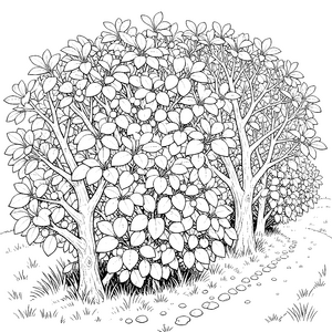 Fruchttragende Beerensträucher Ausmalbild für malfreudige Gartenfreunde