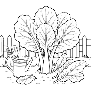 Wachsender Chinakohl mit Gießkanne Ausmalbild für mutige Gartenhelfer