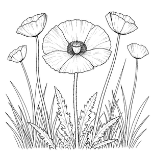 Strafreiche Mohnblumen mit Blättern Malvorlage für malfreudige Gartenfreunde