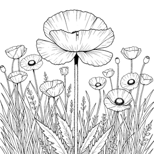 Große Mohnblume im hohen Gras Malbild für verträumte Blumenkinder