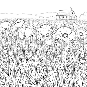 Üppiges Mohnblumenfeld vor Bauernhaus Ausmalvorlage für kreative Blumenfreunde