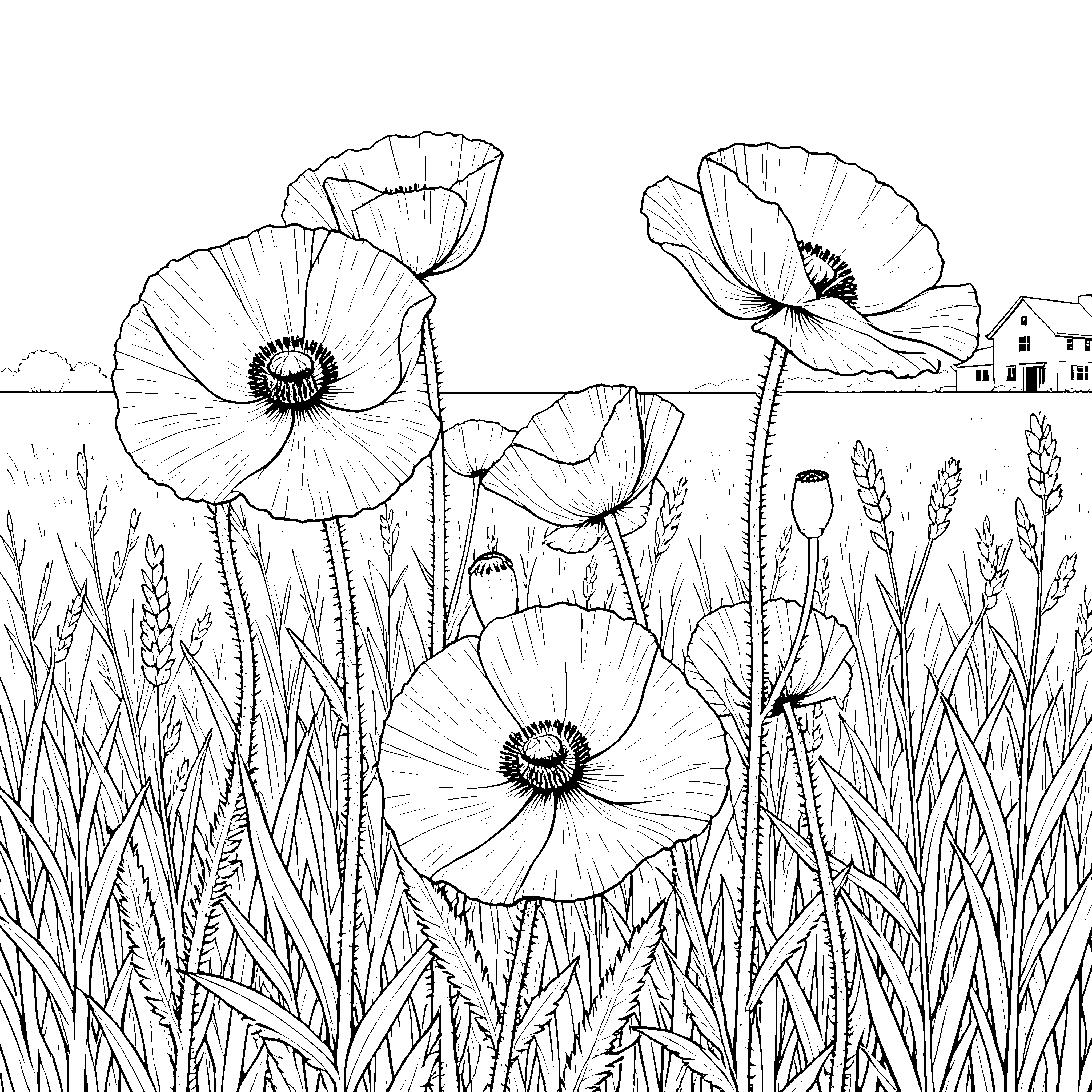 Freie Mohnblumen am Bauernhof Ausmalvorlage für Spürnasen