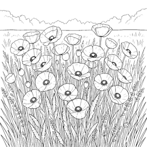 Strahlende Mohnblumen im Getreidefeld Ausmalbild für neugierige Abenteurer