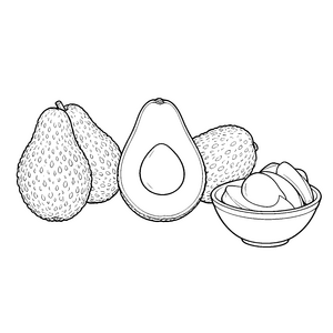 Reife Avocados mit Schale Malbild für junge Abenteurer