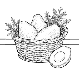 Frische Avocados im Flechtkorb Ausmalvorlage für kreative Naturfreunde