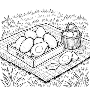 Frische Avocados auf Picknickdecke Malbild für verträumte Hobbygärtner