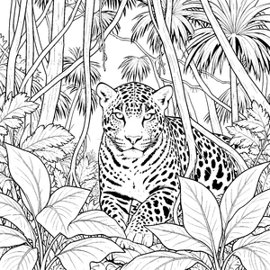 Mächtiger Jaguar im Dschungel Ausmalvorlage für Abenteurer