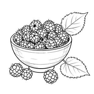 Frische Brombeeren in Schale Malvorlage für neugierige Hobbyköche