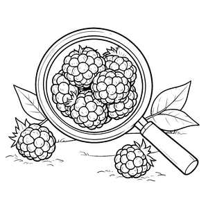 Reife Brombeeren unter der Lupe Ausmalvorlage für junge Spürnasen