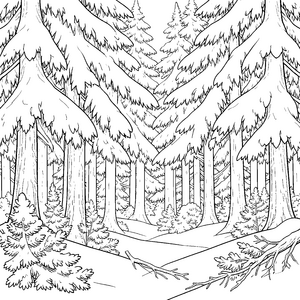 Uralter Tannenwald mit Schneebäumen Malbild für verträumte Spürnasen