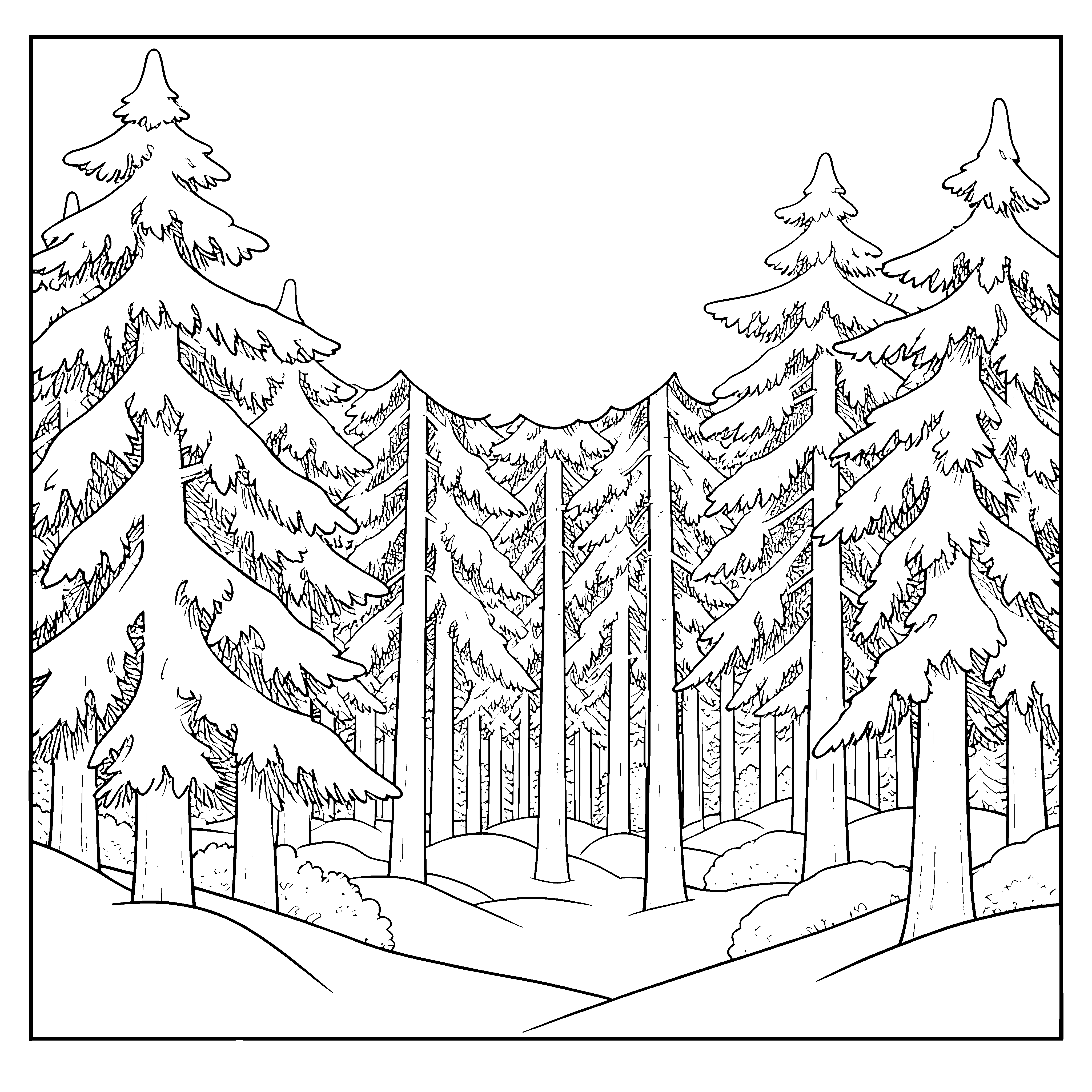 Weitläufiger Tannenwald mit Schneehügeln Ausmalbild für kleine Weltenbummler