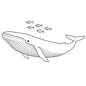 Riesiger Blauwal mit kleinen Fischen Malvorlage für junge Wasserratten