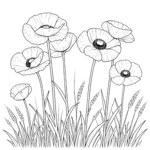 Farbenfrohe Mohnblumen mit Gräsern Malbild für junge Bastler
