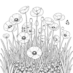 Strahlende Mohnblumen mit Schmetterlingen Malbild für junge Hobbygärtner