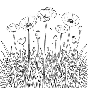 Verspielte Mohnblumen im hohen Gras Ausmalvorlage für junge Entdecker