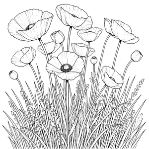 Wilder Mohnblumenstrauß im langen Gras Ausmalvorlage für fröhliche Blumenstaubler