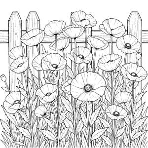 Farbenfrohe Mohnblumen vor Holzzaun Ausmalvorlage für kleine Hobbygärtner