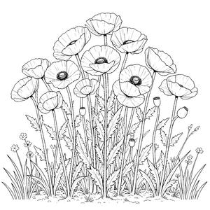 Üppige Mohnblumen mit Gräsern Malbild für neugierige Blumenstaubler