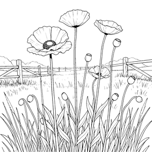 Sanfte Mohnblumen vor Holzzaun Malbild für kleine Weltenbummler