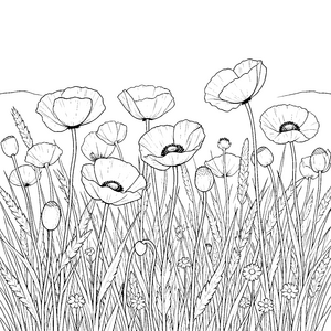 Lustige Mohnblumen im Getreide Malbild für verträumte Naturfreunde