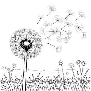 Sanfte Pusteblume mit wehenden Samen Malvorlage für fröhliche Wiesenlöwen