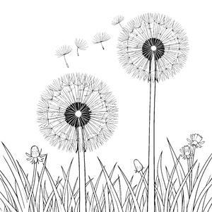 Leuchtende Pusteblumen im hohen Gras Malvorlage für kleine Weltenbummler