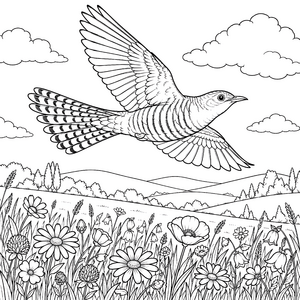 Fliegender Kuckuck über Blumenwiese Malvorlage für fröhliche Naturfreunde