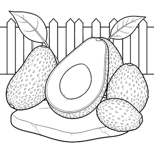 Reife Avocados auf Steinplatte Ausmalvorlage für kleine Abenteurer