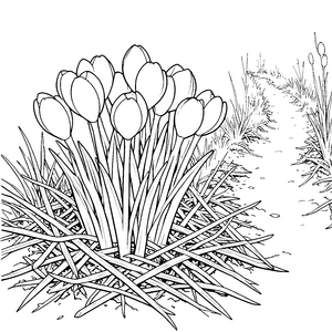 Strahlende Tulpen am Waldweg Ausmalvorlage für malfreudige Abenteurer