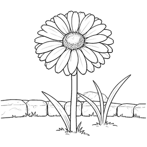 Prachtvolles Gänseblümchen vor Steinmauer Malvorlage für verträumte Naturfreunde