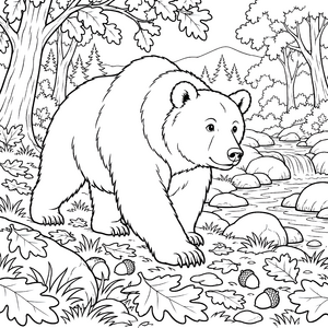 Sanfter Braunbär am Gebirgsbach Ausmalvorlage für neugierige Spürnasen