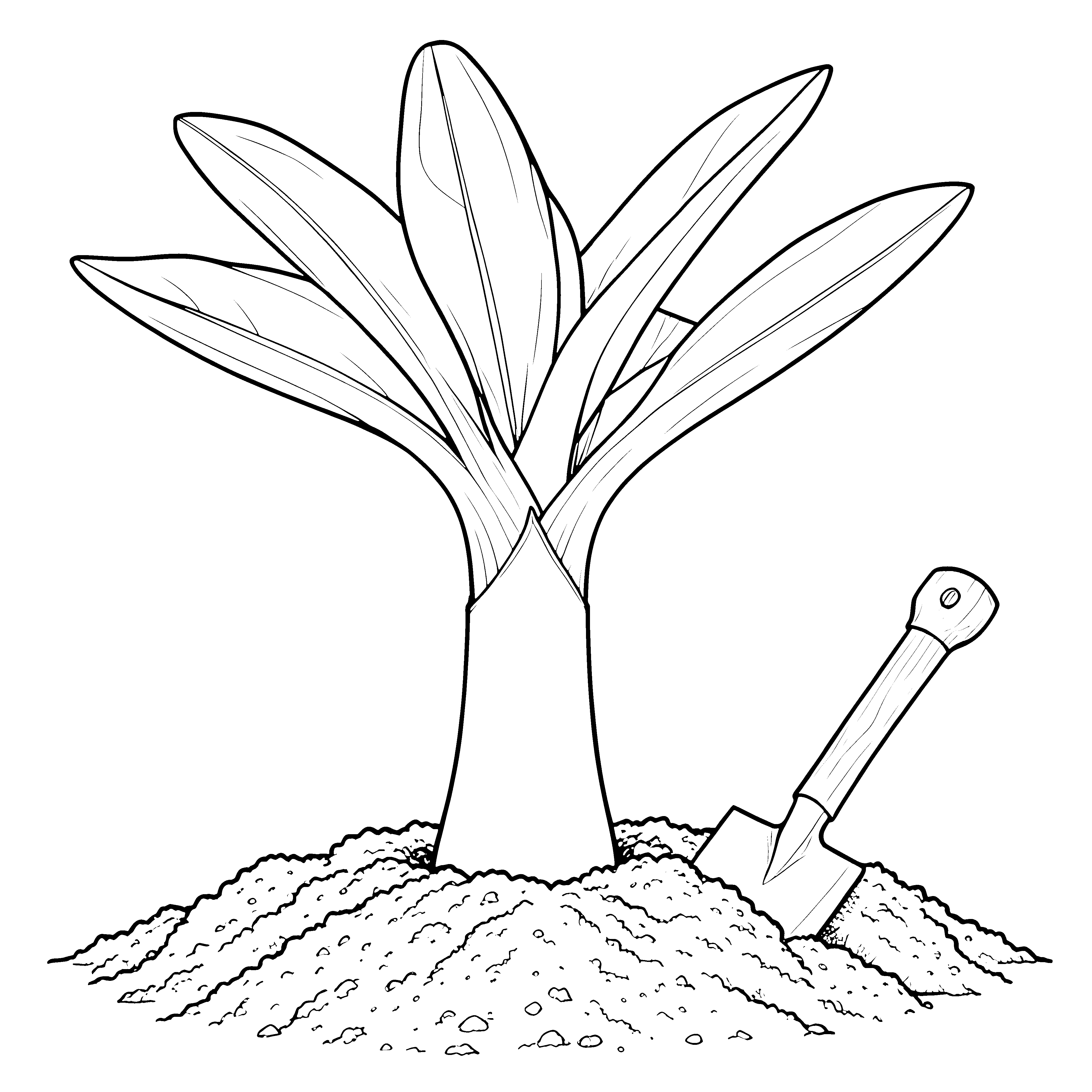 Wachsender Lauch mit Schaufel im Beet Ausmalbild für kreative Gartenfreunde