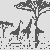 Drei elegante Giraffen unter schattenspendendem Baum Ausmalbild für junge Tierfreunde