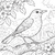 Sanfte Amsel im blühenden Garten Ausmalbild für kleine Naturfreunde