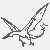 Faszinierender Pteranodon in schwindelerregendem Flug Ausmalbild für kleine Fantasy-Entdecker
